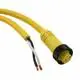 1300060099 Molex 1300060099 Molex